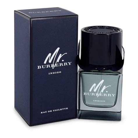 mr burberry fragrantica|mr Burberry indigo 50ml.